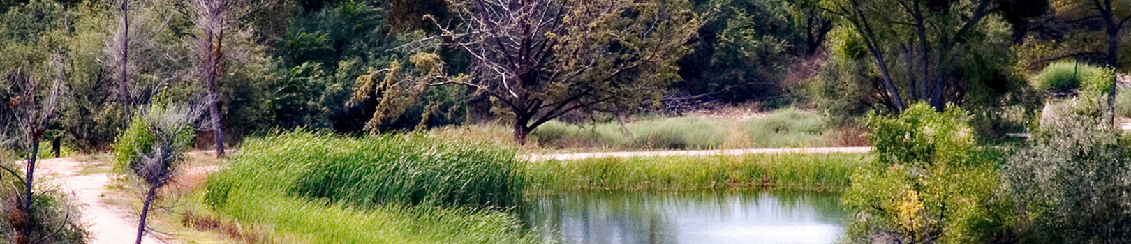 Verde River Greenway State Natural Area